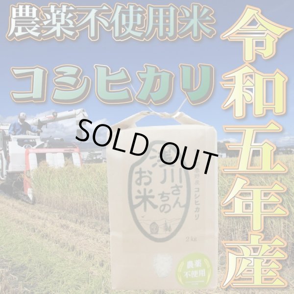画像1: 令和5年収穫 長野県安曇野産 農薬不使用　「浅川さんちのお米」コシヒカリ (1)