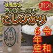 画像1: 令和6年産 信州安曇野産 「浅川さんちのお米　ファミリーパック」 コシヒカリ (1)