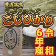 画像3: 令和6年産 信州安曇野産 「浅川さんちのお米　ファミリーパック」 コシヒカリ (3)