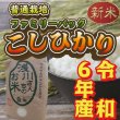 画像1: 令和6年産 信州安曇野産 「浅川さんちのお米　ファミリーパック」 コシヒカリ (1)