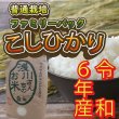 画像4: 令和6年産 信州安曇野産 「浅川さんちのお米　ファミリーパック」 コシヒカリ (4)