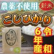 画像1: 令和6年収穫 長野県安曇野産 農薬不使用　「浅川さんちのお米」コシヒカリ (1)