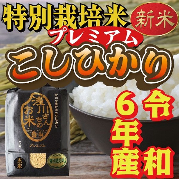 画像1: 令和6年収穫 長野県安曇野産 特別栽培米「浅川さんちのお米プレミアム」 コシヒカリ (1)