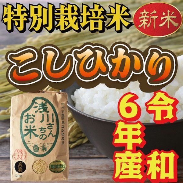 画像1: 令和6年収穫 長野県安曇野産 特別栽培米「浅川さんちのお米」 コシヒカリ (1)