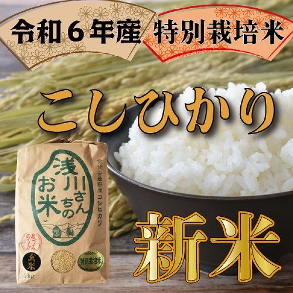 画像1: 令和6年収穫 長野県安曇野産 特別栽培米「浅川さんちのお米」 コシヒカリ (1)